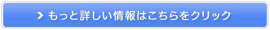 I[CQ@z̔TCg